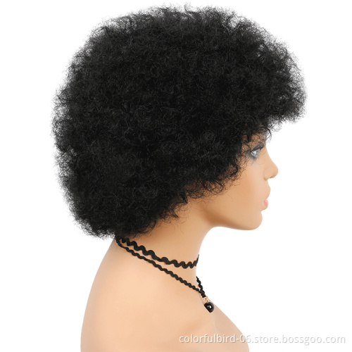 Short Fluffy Hair Wigs Afro Kinky curly Human Hair Wig For Party Dance Cosplay Wigs with Bangs Perruques Crepus Afro Naturel